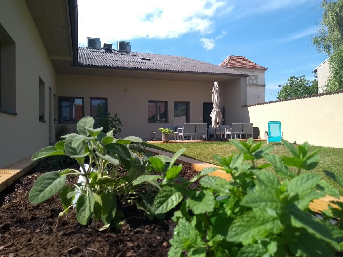 פראונקירשן Sabines Apartments Ferienwohnungen מראה חיצוני תמונה